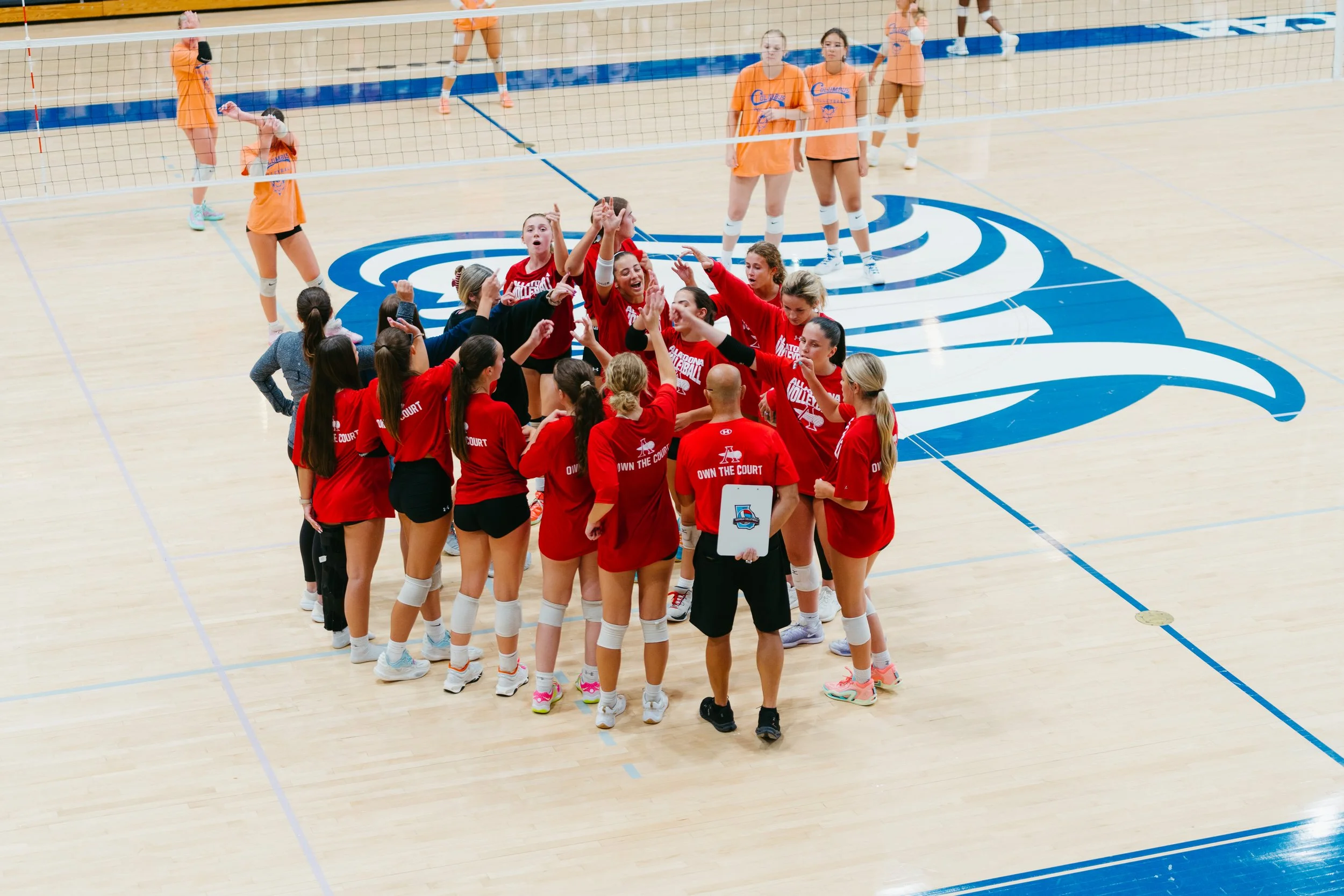 Women's volleyball team celebrating a point